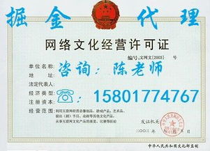 上海网络文化经营许可证办理条件与流程解析